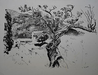 Encre de Chine, Marie Gaillet