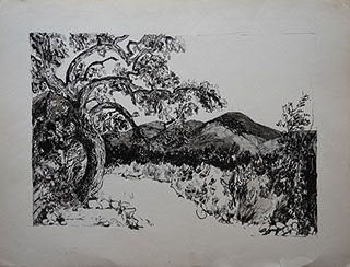 Encre de Chine, Marie Gaillet