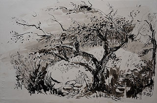 Encre de Chine, Marie Gaillet