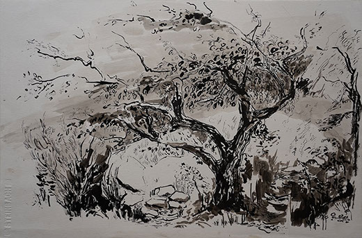 Encre de Chine, Marie Gaillet