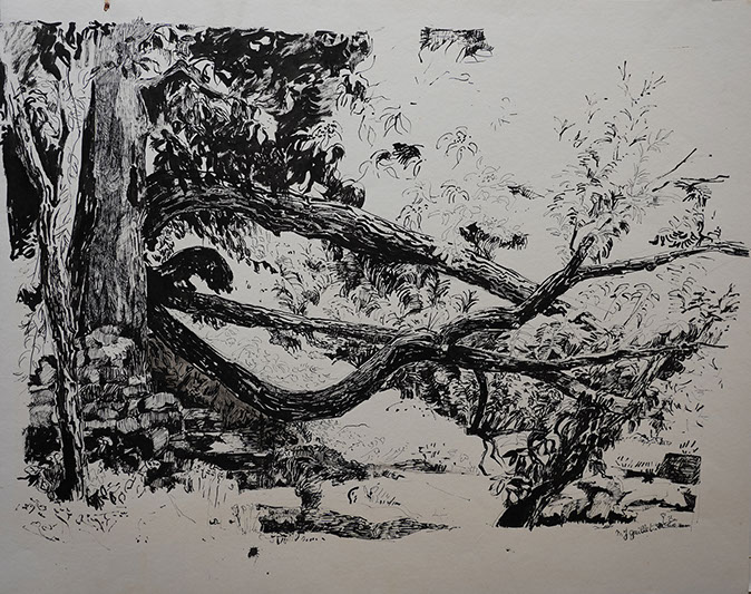 Encre de Chine, Marie Gaillet