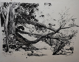 Encre de Chine, Marie Gaillet