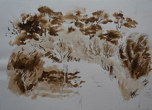 Encre de Chine, Marie Gaillet