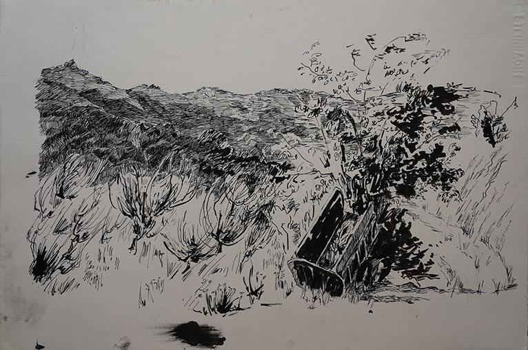 Encre de Chine, Marie Gaillet