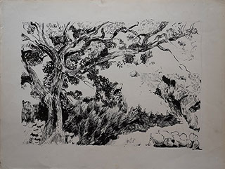 Encre de Chine, Marie Gaillet