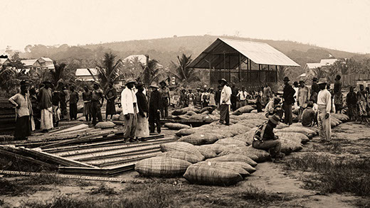 Rubber bales, Independent State of Congo