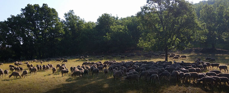 A perte de vue, Provence
