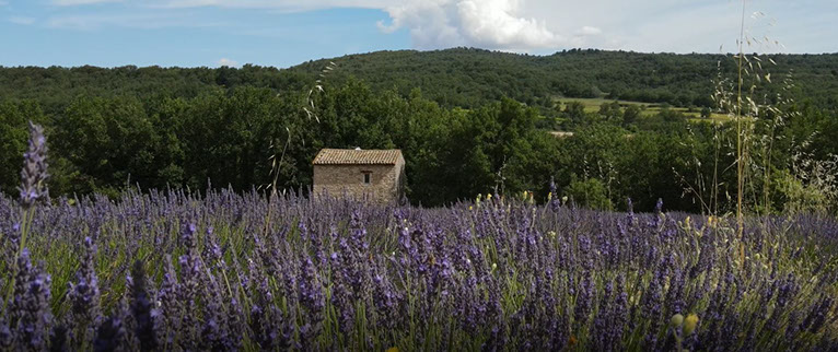A perte de vue, Provence