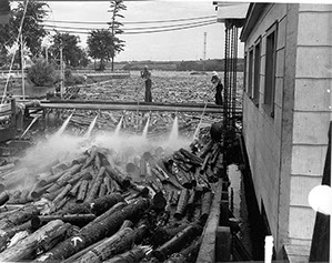 Arrival of the timber at the Belgo, Shawinigan Falls, Canada