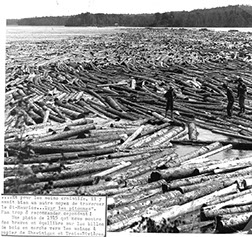 Arrival of the timber at the Belgo, Shawinigan Falls, Canada